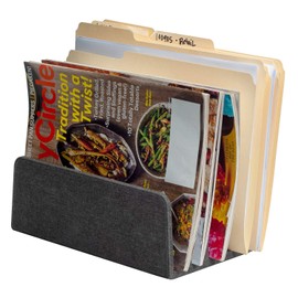MobileVision Executive Dark Gray Desktop File Folder Organizer and Paper Tray, 5 Slot Dividers
