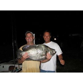 T&A JIGS 3 Tog Sheepshead Jigs 2/0 X-STRONG HOOK GREEN CHART Tautog Blackfish Hogfish - 3/4oz