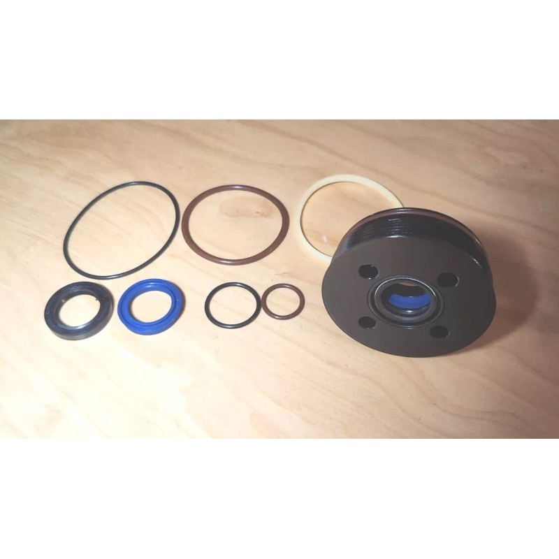 DI tech evinrude etec e-tec trim tilt seal kit 5008985