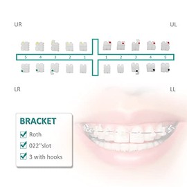 10 Paquetes de Soportes Dentales Cerámicos para Brackets Ortodónticos de 022'' Brackets de Ortodoncia. (Roth-0223)