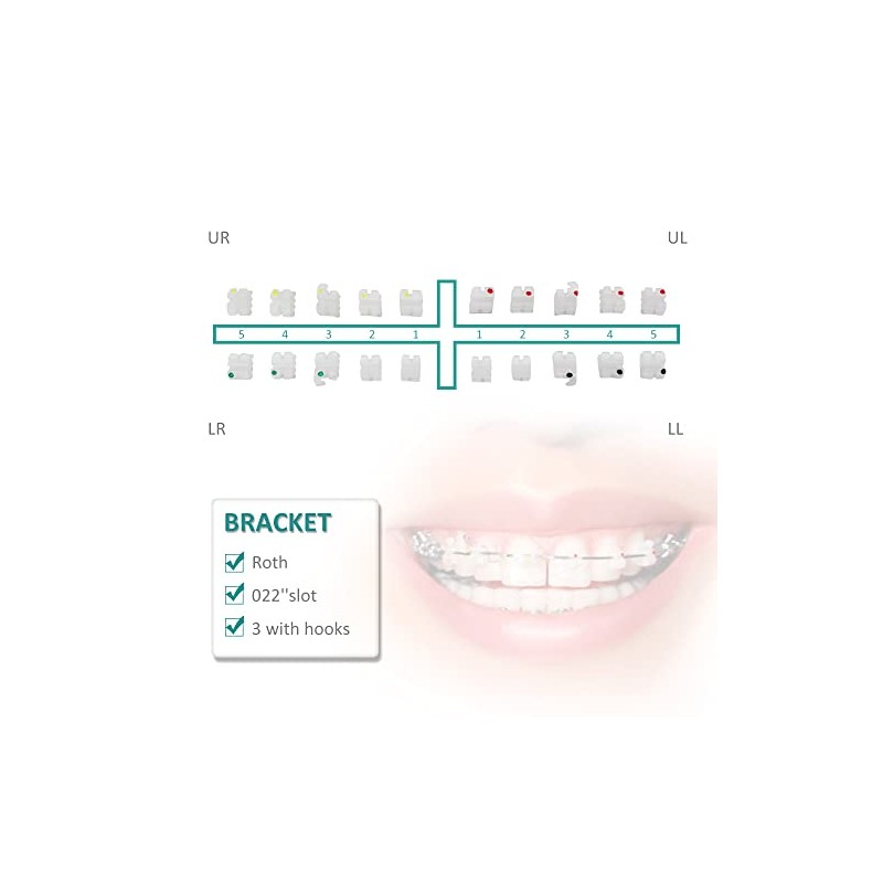 10 Paquetes de Soportes Dentales Cerámicos para Brackets Ortodónticos de
