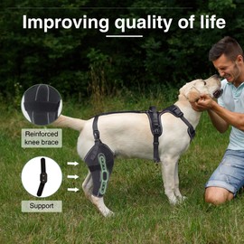 LISPOO Dog Knee Brace for Torn Acl Hind Leg, Luxating Patella, Cruciate Ligament, Dog Acl Knee Brace Support Back Leg with Arthritis Pain, Acl Brace for Dogs Rear Leg (M)