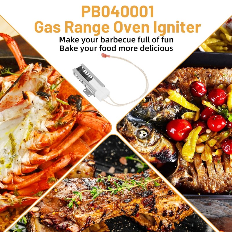 PB040001 Gas Range Oven Igniter,Oven Igniter for Gas Stove for