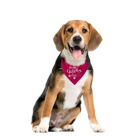 It's My Gotcha Day Dog Bandana, Funny Pet Dog Puppy Bandana, Mother Puppers Happy Gotcha Day, Dog Bandana Adoption Day, Photo Props Accessories, for Pet Dog Lovers Gifts (D89)