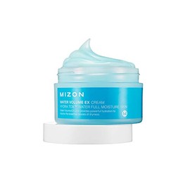 MIZON Water Volume EX Cream – Crema Hidratante Facial Ligera Tipo Gel, Hidratación Profunda y Fresca - Skin care coreano para Piel Mixta/Grasa y Sensible, 100 ml