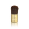 GENIE NUTRATANICALS Antioxidant Foundation Light, 8 gm & Small Kabuki