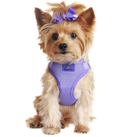 Doggie Design Wrap and Snap Choke Free Dog Harness - Paisley Purple (M)