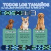 Collar de perro de piel, diseo bordado, collar de perro