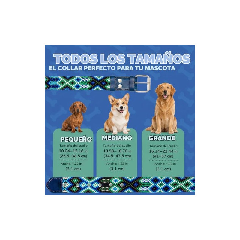Collar de perro de piel, diseo bordado, collar de perro