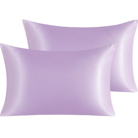 NTBAY 2 Pack Satin Queen Pillowcases for Hair and Skin, Luxurious and Silky Pillow Cases with Envelope Closure, 20x30 Inches, Light Purple
