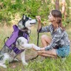 WINGOIN Purple Tactical Dog Harness for Medium Dogs, Heavy Duty