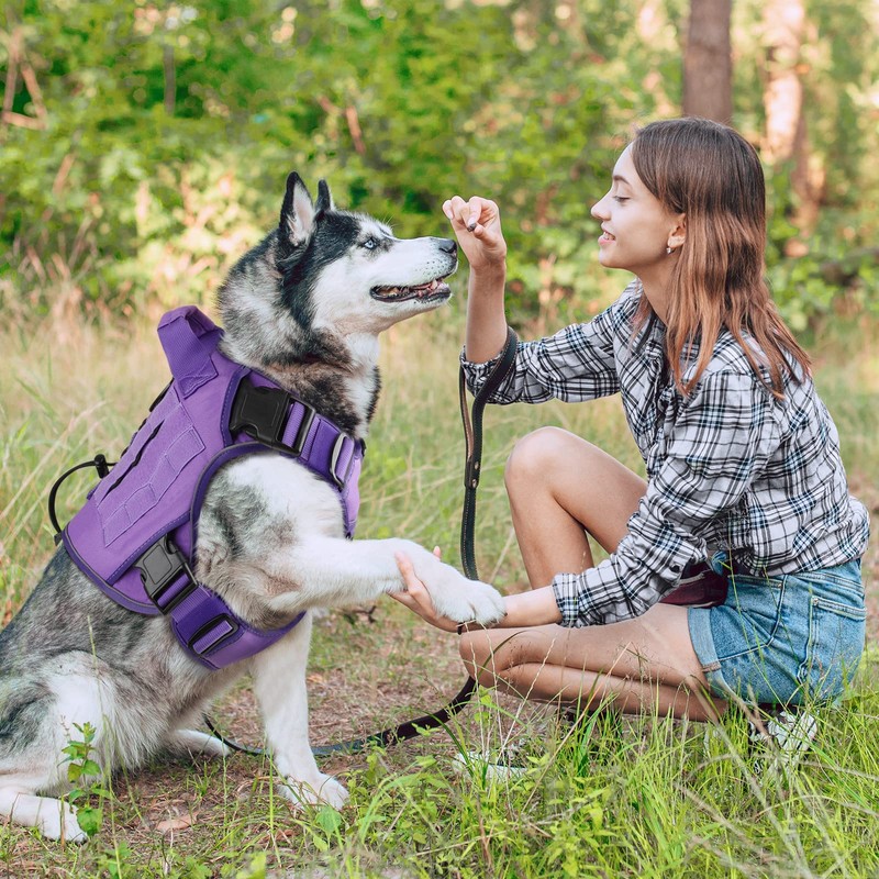 WINGOIN Purple Tactical Dog Harness for Medium Dogs, Heavy Duty