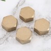 eMagTech 4 Pieces 1/2 Inch Brass Hex Blanking Plugs with