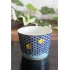 Sobachoko Stylish Tableware, Kutani Ware, Soba Boar Mouth, Houndstooth Pottery,