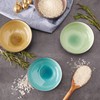 RSVP International Japanese Crackle Glaze Ceramic Bowl Set Dishwasher Safe,