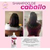 Shampoo De Caballo Detiene La Caída Acelera El Crecimiento