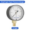 MEASUREMAN Diaphragm Type Capsule Low Pressure Gauge with Valve，3/4" FNPT
