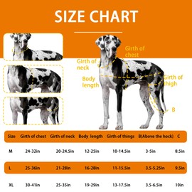 HAPPYHAO Dog Knee Brace for Torn ACL Hind Leg, Acl Brace for Dogs Rear Leg, Warm Joint and Relieves Joint Pain, Support Back Leg with Arthritis Pain (XL)