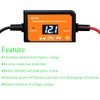 400AH Lead-Acid Battery Desulfator Battery Maintainer Auto-Setting for 12V-48V Auto