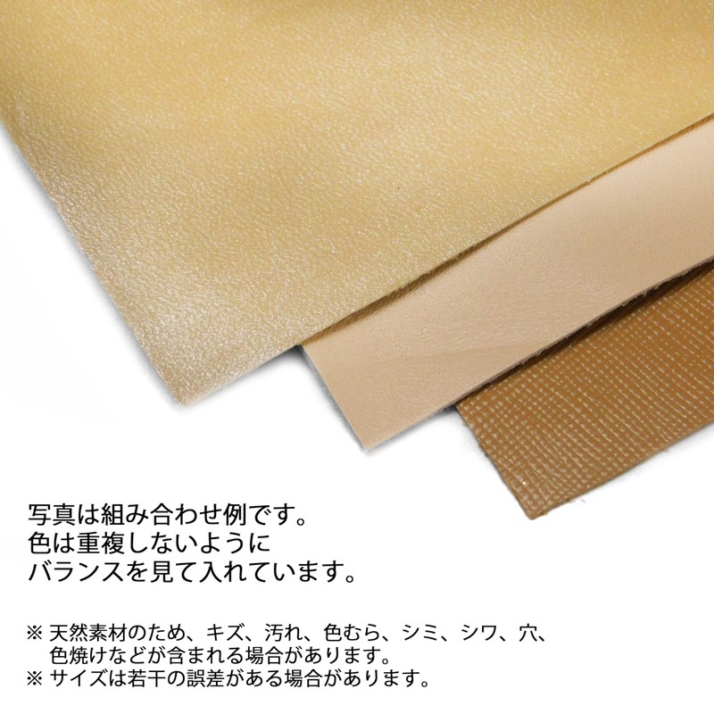 Genuine Leather (Beige, A4 x 3 Piece Set)