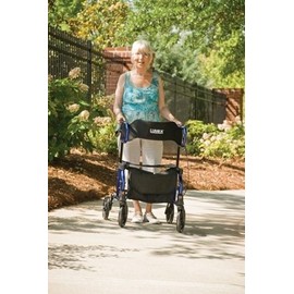 Graham-Field LX1000-BACKT Lumex Backrest for LX1000T HybridLX Rollators & Transport Chairs, Titanium Color