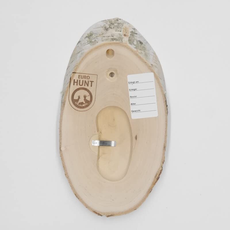 Birch Trophy Sign Deer Antlers Tree Disc Tree Sign AF