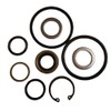 RAParts Hydraulic Seal Kit - Steering Cylinder Fits Case 580