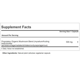 ANDREW LESSMAN Immune Mushroom Complex 180 Capsules – Organic Full Spectrum Blend of Seven Mushrooms – Supports Healthy Immune Function – No Additives. Mushroom Complex Supplement