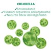 Colours Of Life Colours of Life Bio Chlorella - Integratore