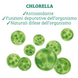 Colours Of Life Colours of Life Bio Chlorella - Integratore di Chlorella da Agricoltura Biologica 200 compresse - 100 g