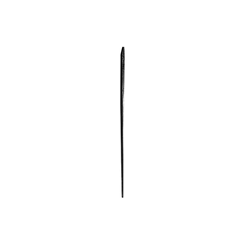 True Temper 60-Inch Pinch Point Crow Bar - 1160100