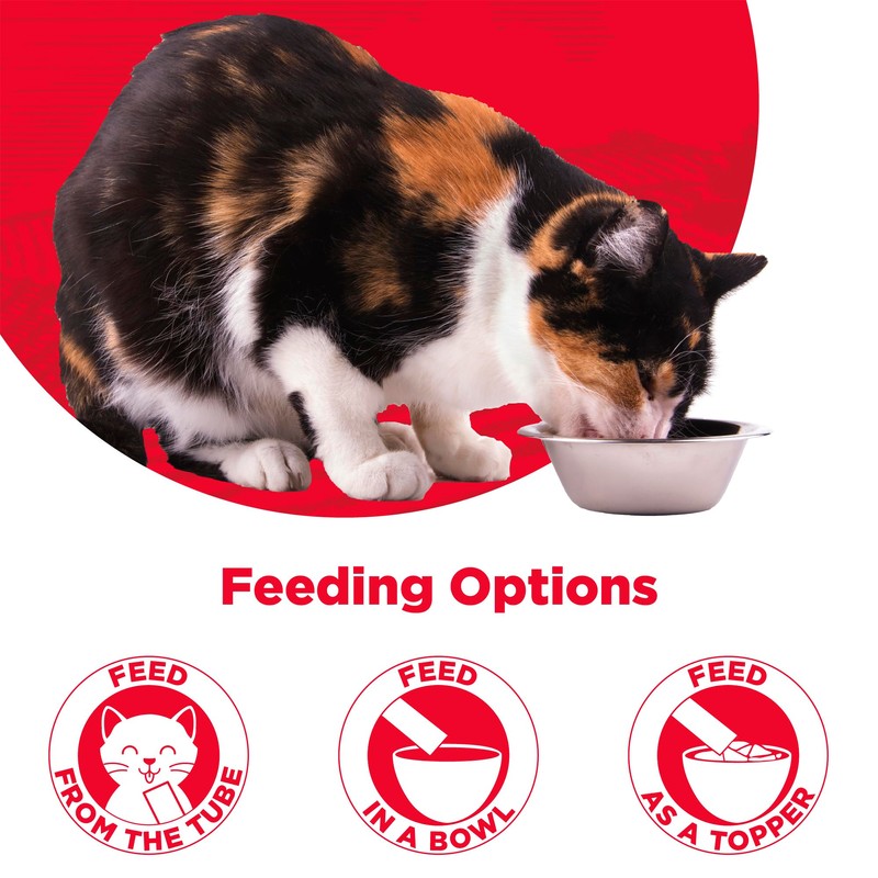 Country Kitchen Chicken Puree Lickable Cat Treats, Made with Real