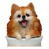 Pomeranian Dog Figurine in Flower Pot - Polyresin Dog Figurine,