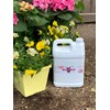 Pampered Chicken Mama's Bathing Dust With Herbs! - size: 20