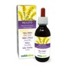 Yellow Stone Clover (Melilotus Officinalis) Herb with Flowers Alcohol-Free Mother