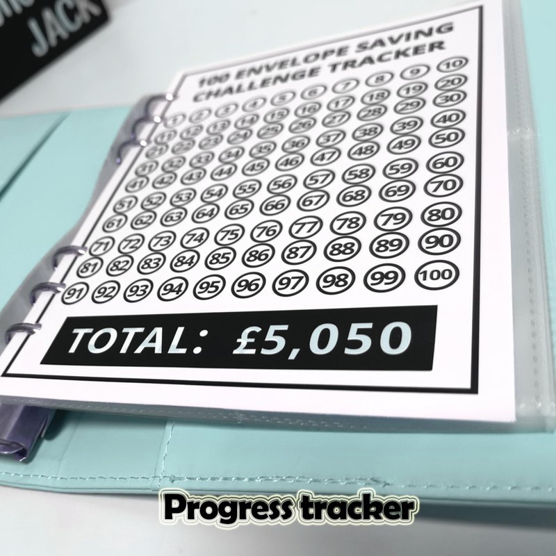 100 Envelope DIY Wallet Budget Cash Binder - 100 Day