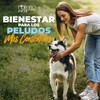 NAIMA Fibra Soluble para Perros, 300 g | Apoyo Digestivo