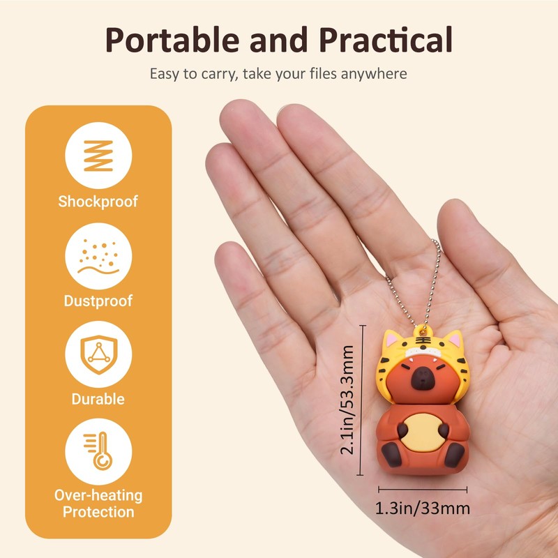 leizhan 64GB USB Flash Drive USB Memory Stick USB Pen