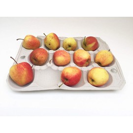 Nutley's Fibre Biodegradable Apple Tray 12-hole Compostable (10)