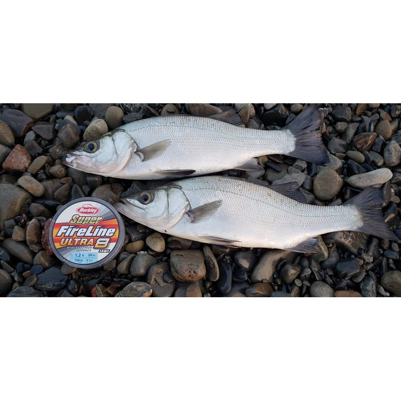 Berkley Super Fireline Ultra 8 No. 2.0 / 30lb, 150m