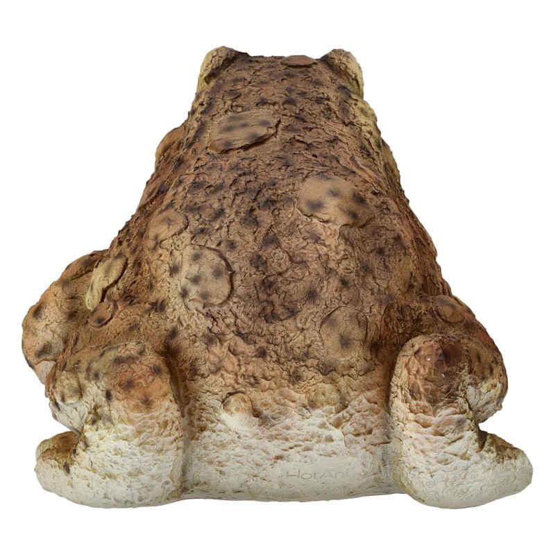 Figuren Shop GmbH HotAnt Realistic Garden Toad 12.5 cm Weatherproof