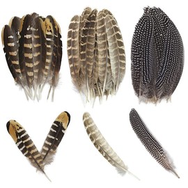 Zasvec Pheasant Feathers Long Pack of 30 Natural Decoration Rooster Feather Pheasant Feathers Turkey Feathers Natural Bird Feather Pheasant Tail Feathers Natural Craft Feather 10-25 cm Length for