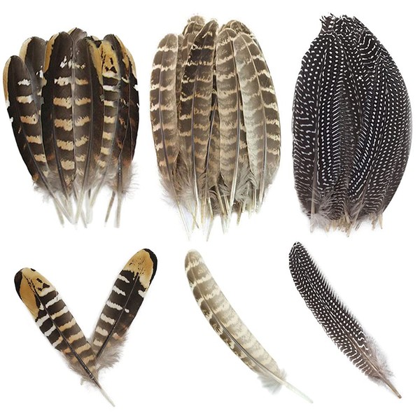 Zasvec Pheasant Feathers Long Pack of 30 Natural Decoration Rooster