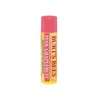 Burt's Bees Pink Grapefruit Lip Balm / 버츠비 핑크 그레이프