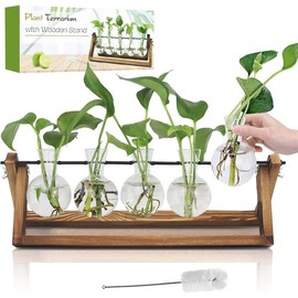 Plant Propagation Station, Plant Terrarium with Wooden Stand,  Gardening Birthday Gifts for Women Plant Lovers, Home Office Garden Decor Planter - 3 Bulb Glass Vases - Colour: 5 Bulb Vase