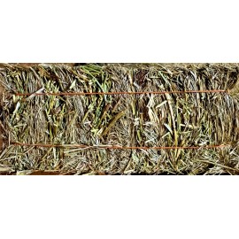 Happy Rock Pets Alfalfa and Teff grass mixed Mini Bales 46 oz.