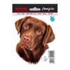 Avisa AutoTattoo Sticker Labrador 11 x 13.2 cm