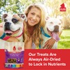 Plato Pet Treats Small Bites - Air-Dried Training Treats for