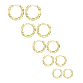 KOMUNJ 5 Pairs Set Stainless Steel Huggie Hinged Hoop Earrings for Men Women, Earrings Men Women Earrings Hoops, Hoop Earrings Set for 8/10/12/14/16mm, Gold