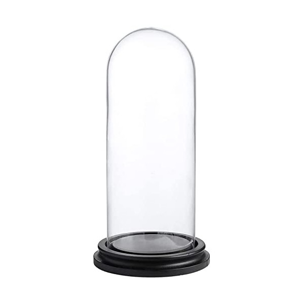 Whole Housewares Decorative Clear Glass Dome - 10cm D x 25cm H Cloche Bell Jar Display Case with Black MDF Base - Hand-Blown Glass Display Dome for Tabletop Centerpiece and Decor Arrangements
